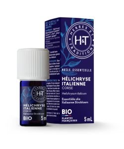 Helichryse italienne - Immortelle (Helichrysum italicum)